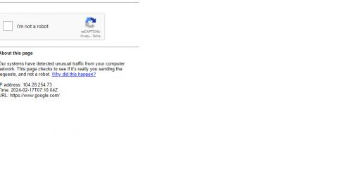 1P-012823-001 M Slut: Kana Sasaki